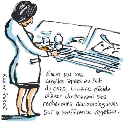 MotFin_3660_Dans-le-ressenti