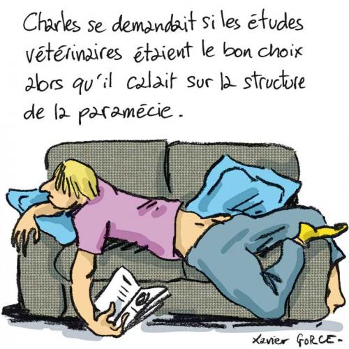 MotFin_3680_C'est-compliqué