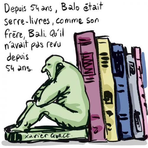 MotFin_3741_L'idiot-utile