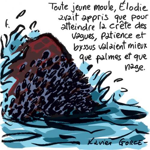 MotFin_3747_Vague